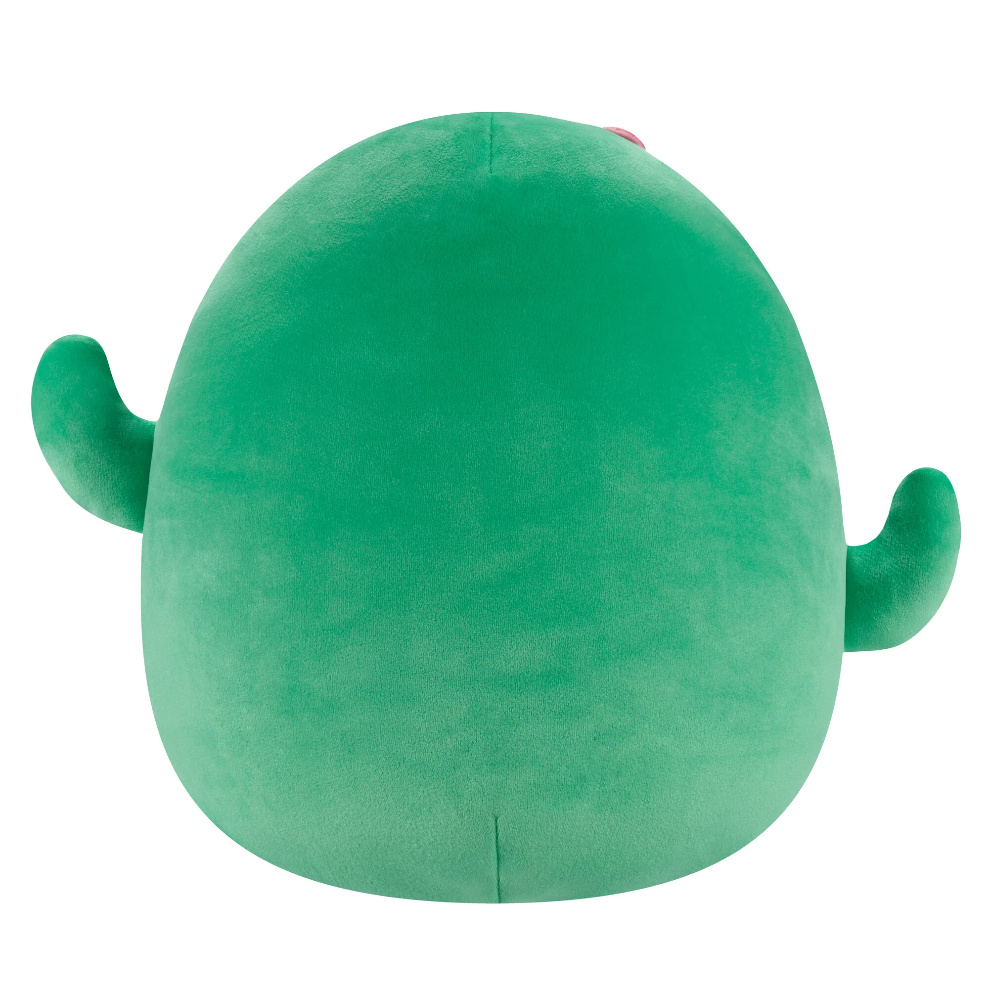 Maritza the Green Cactus - Image 3