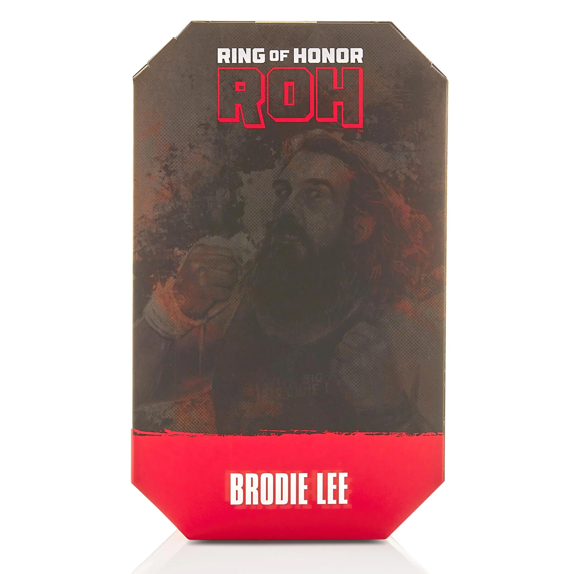 Ring of Honor Brodie Lee - Image 12