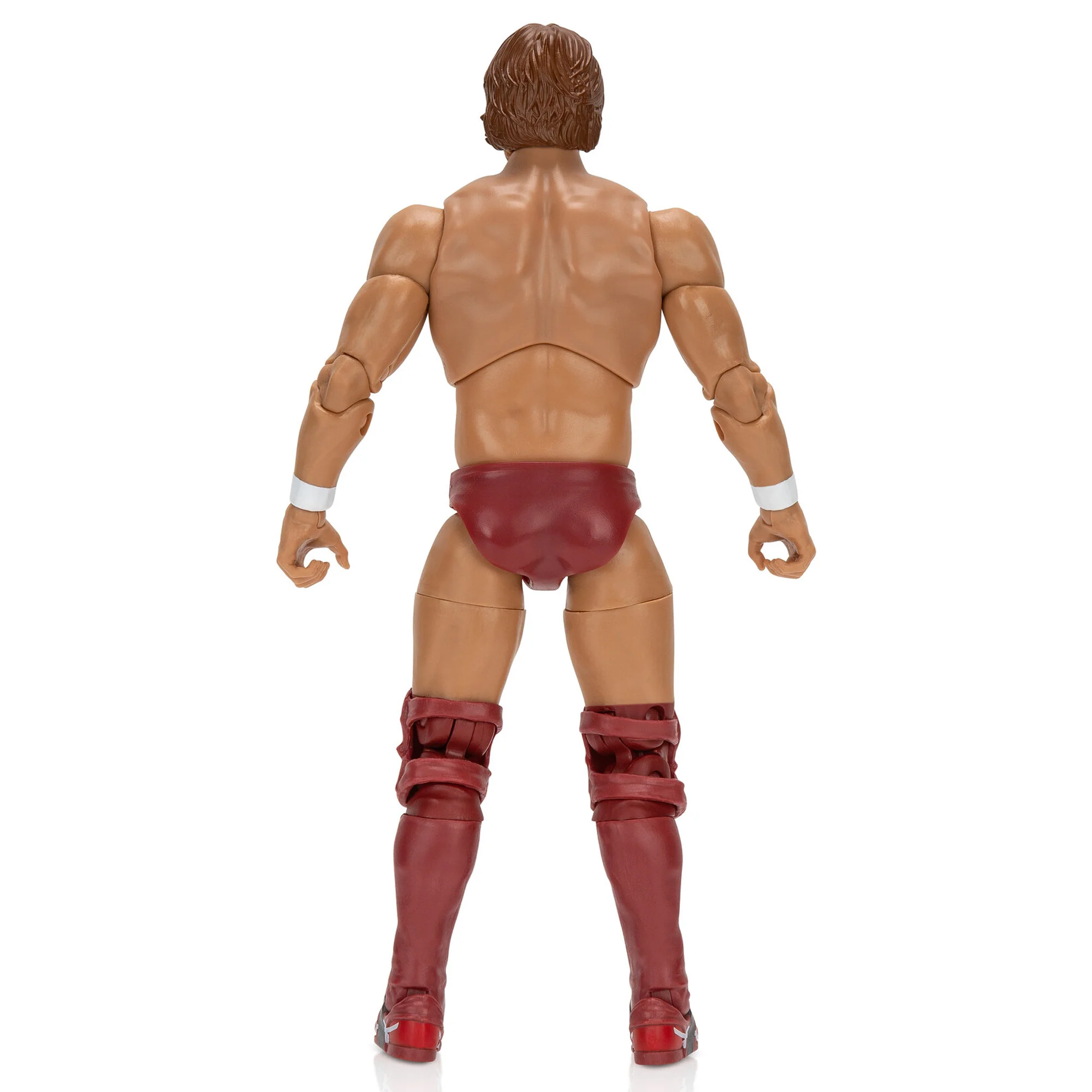 Ring of Honor Bryan Danielson - Image 12