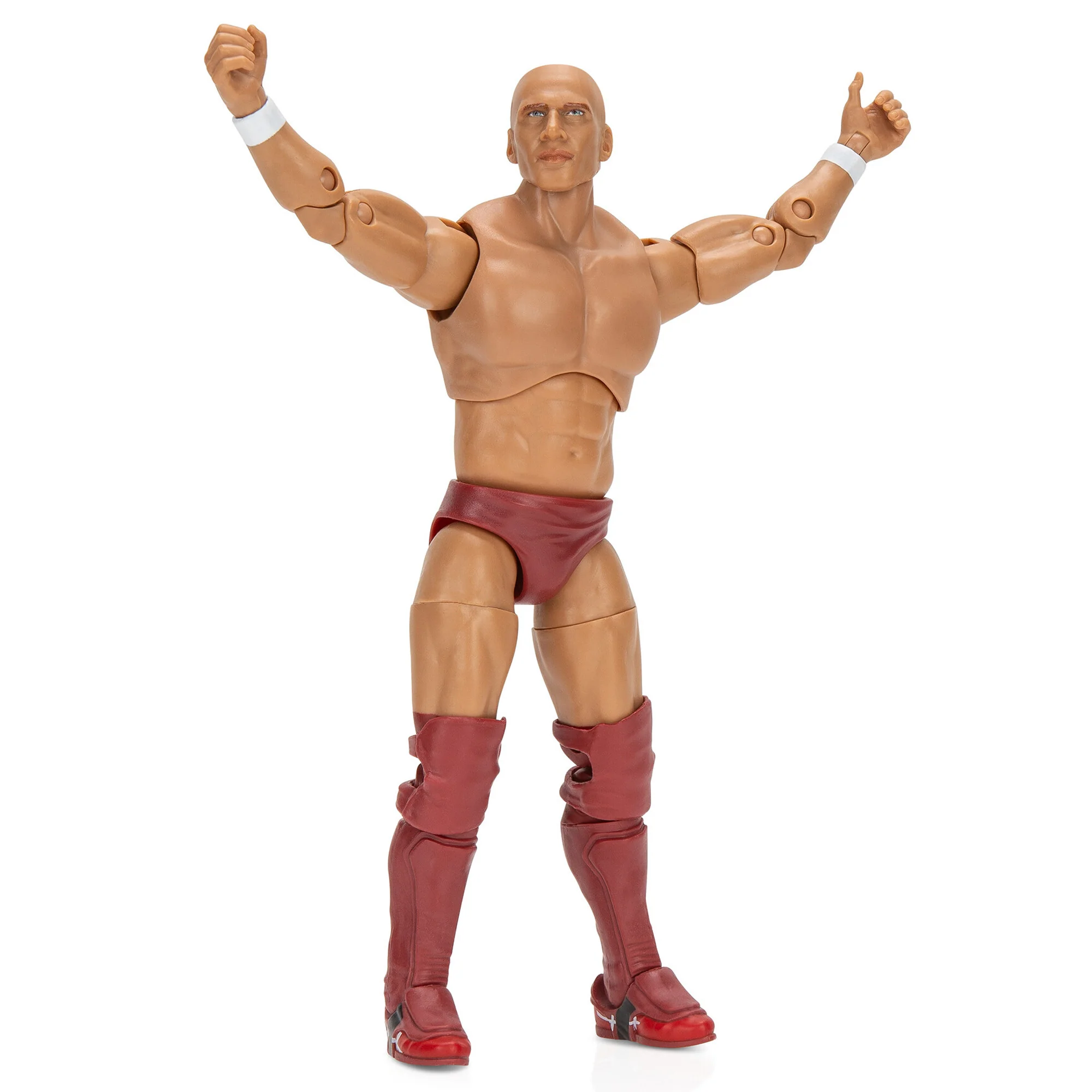 Ring of Honor Bryan Danielson - Image 19