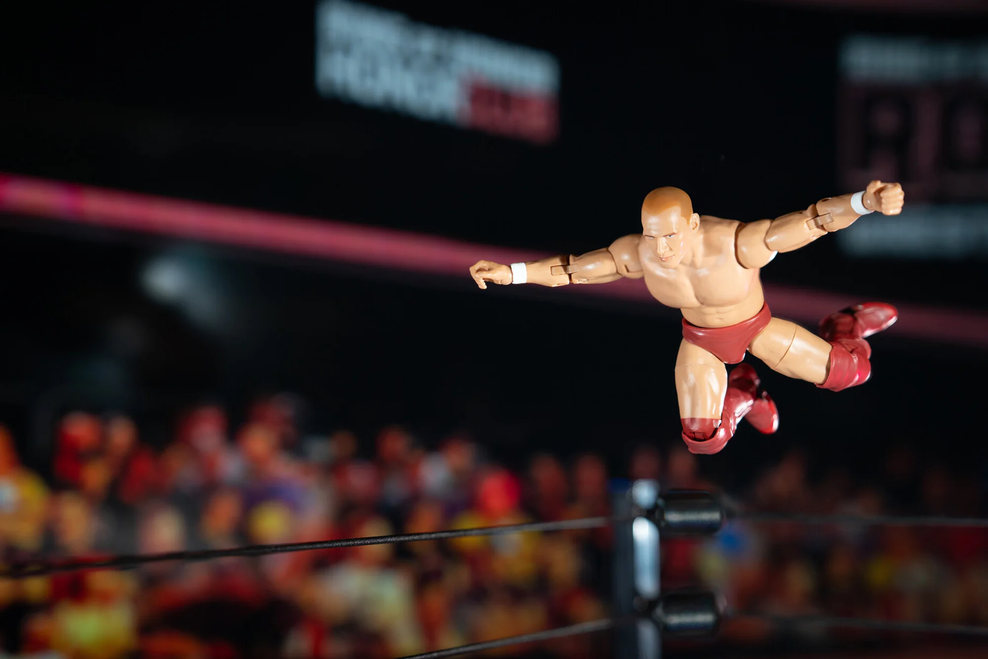 Ring of Honor Bryan Danielson - Image 21