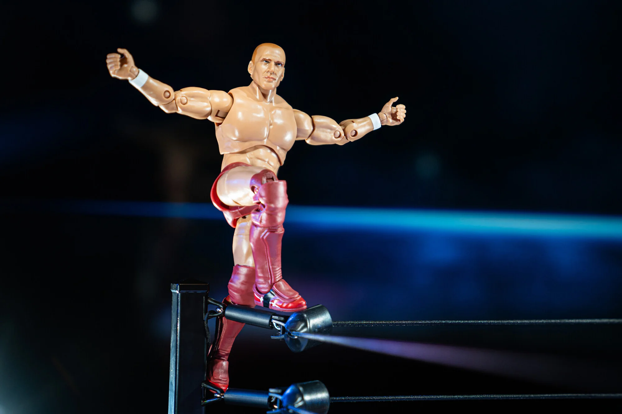 Ring of Honor Bryan Danielson - Image 7