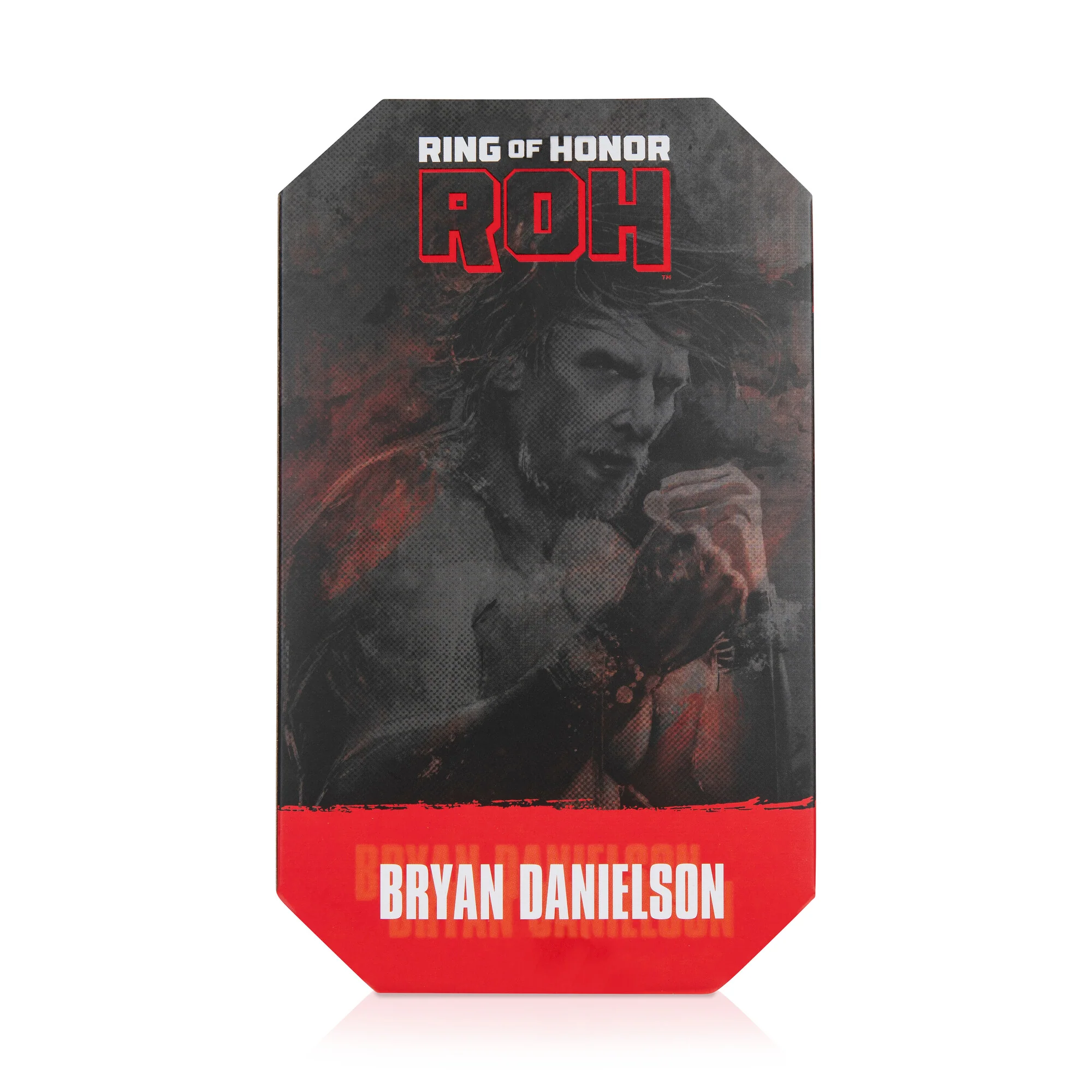 Ring of Honor Bryan Danielson - Image 9
