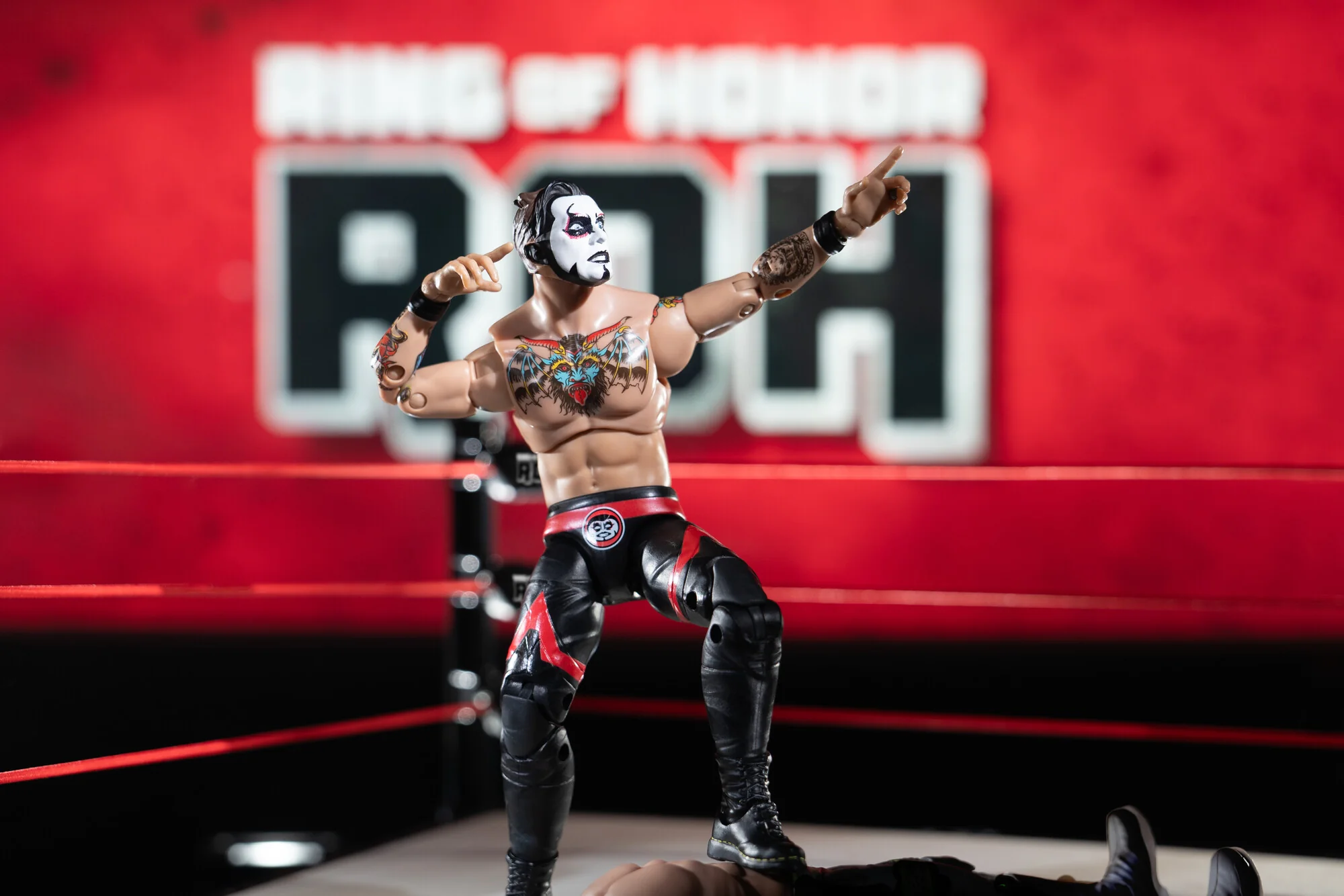 Ring of Honor Danhausen - Image 11