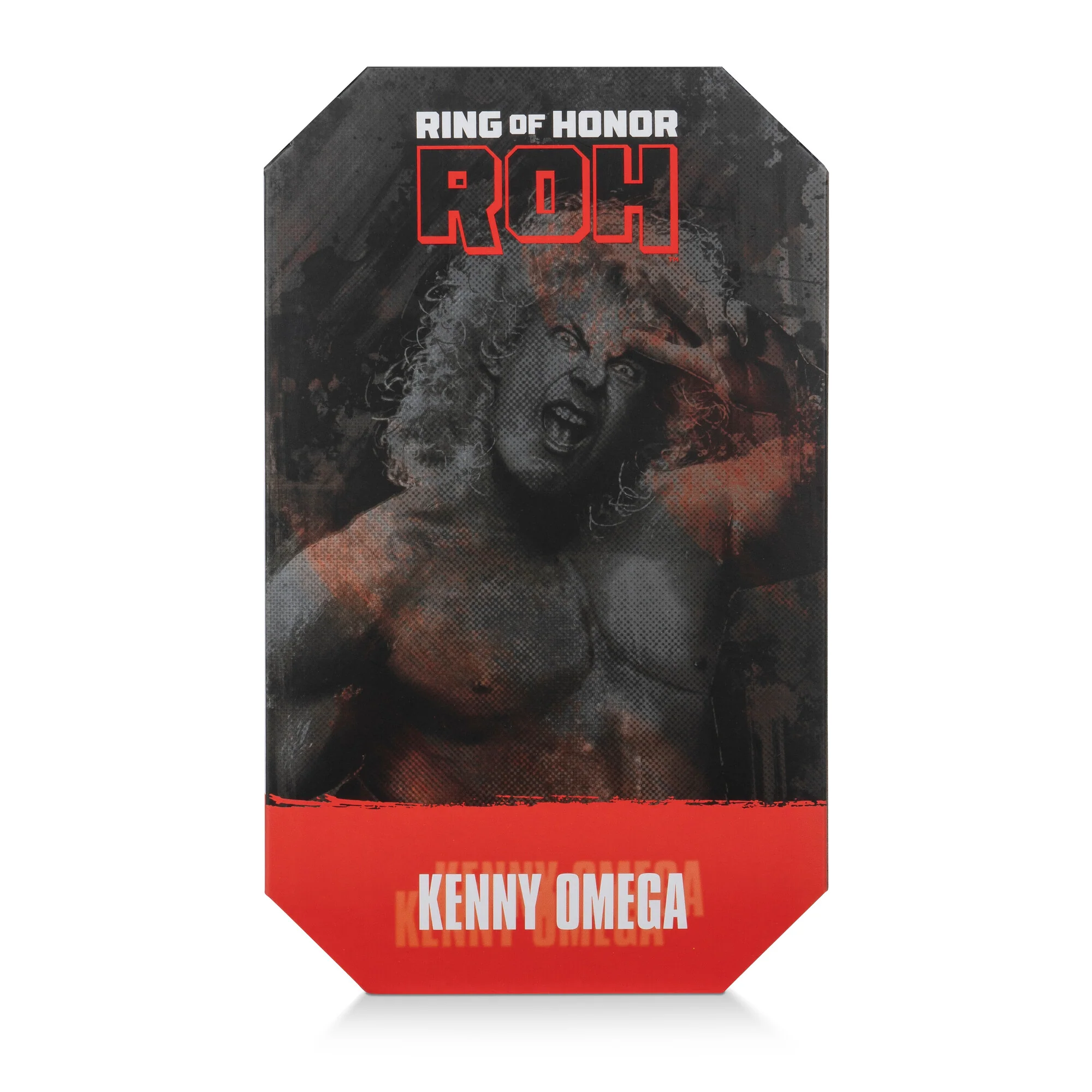 Ring of Honor Kenny Omega - Image 13