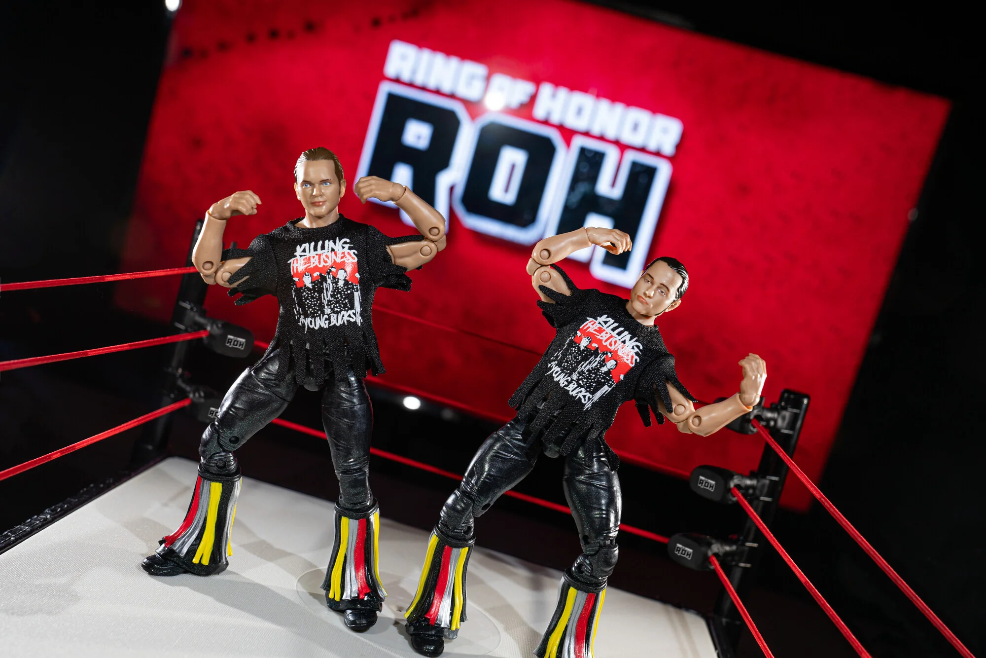 Ring of Honor The Young Bucks - Image 7