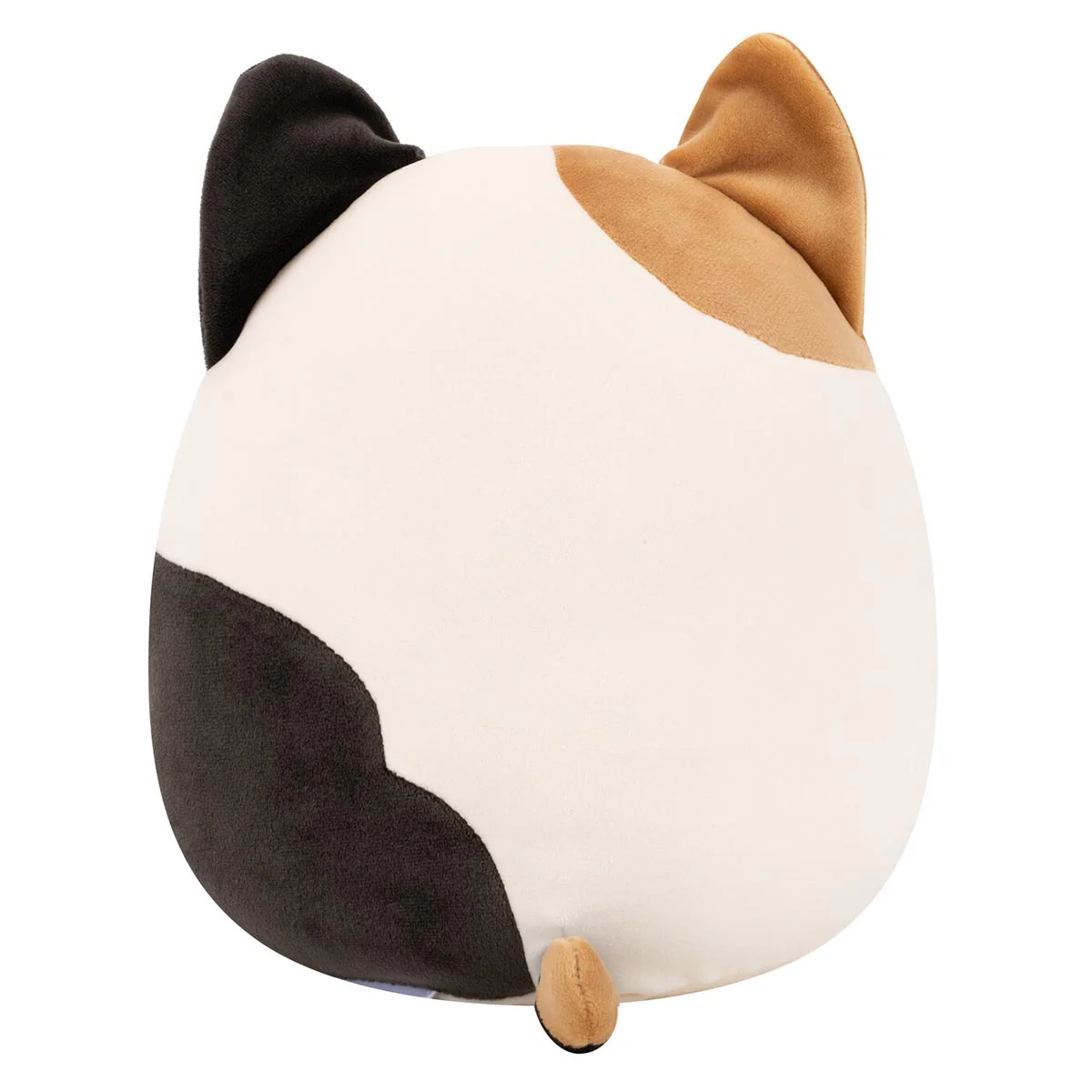 Cam the Calico Cat - Image 4