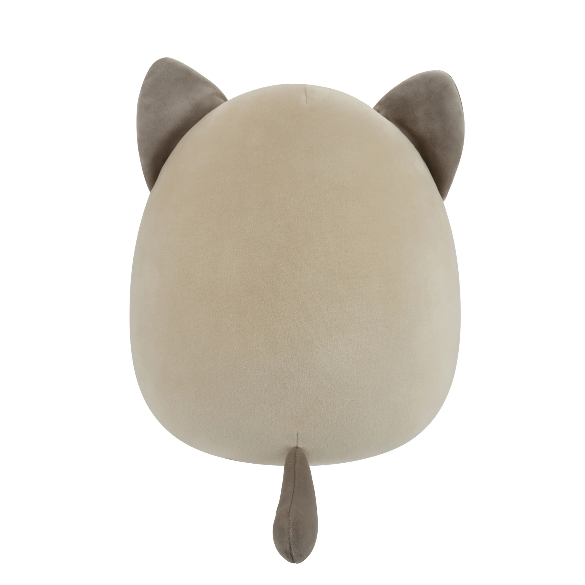 12-Inch Felton the Siamese Cat Holding Heart Churro - Image 4