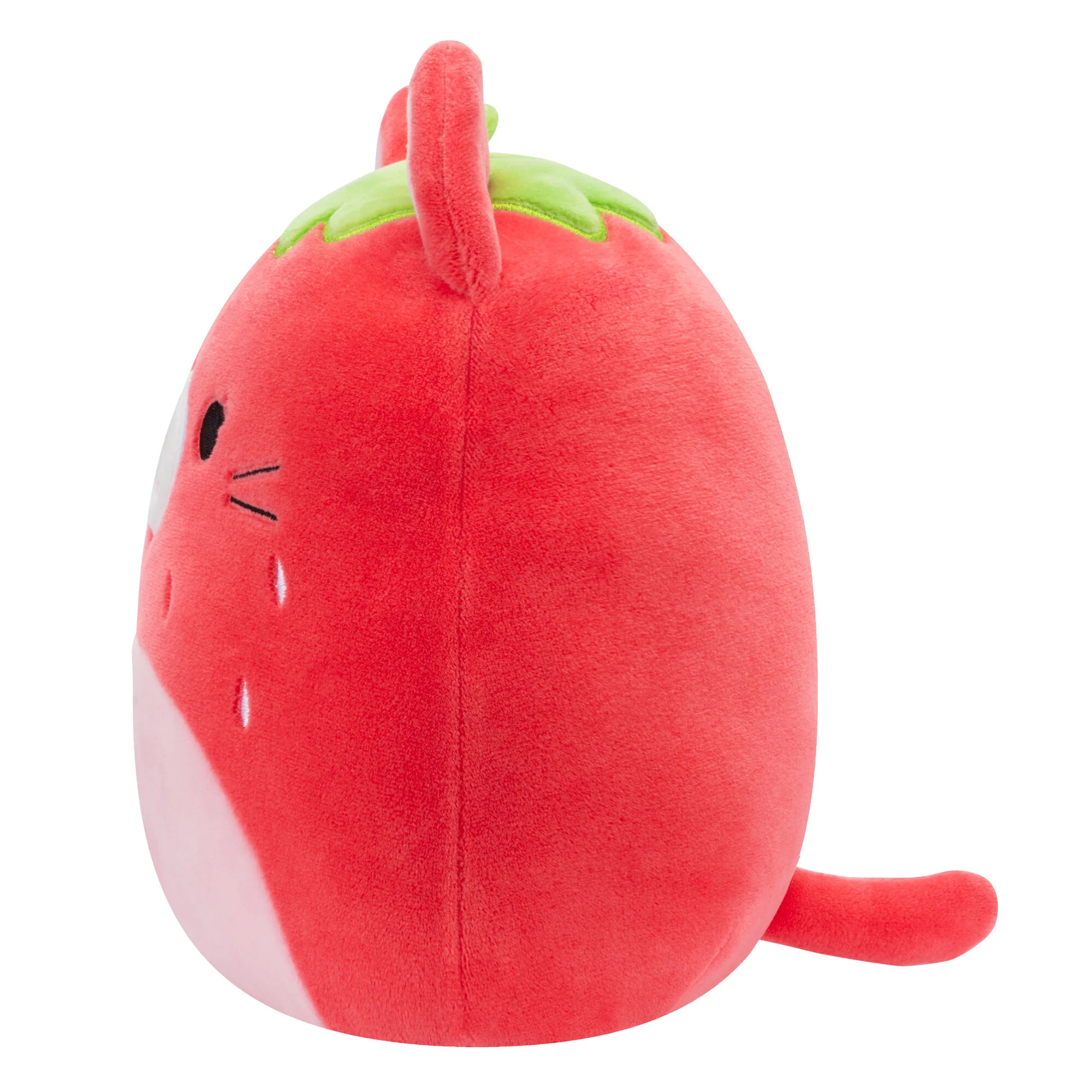 Olma the Strawberry Cat - Image 3