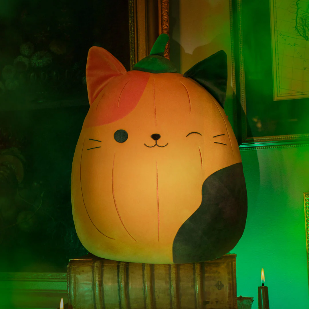 Pumpkin Cam - Image 2