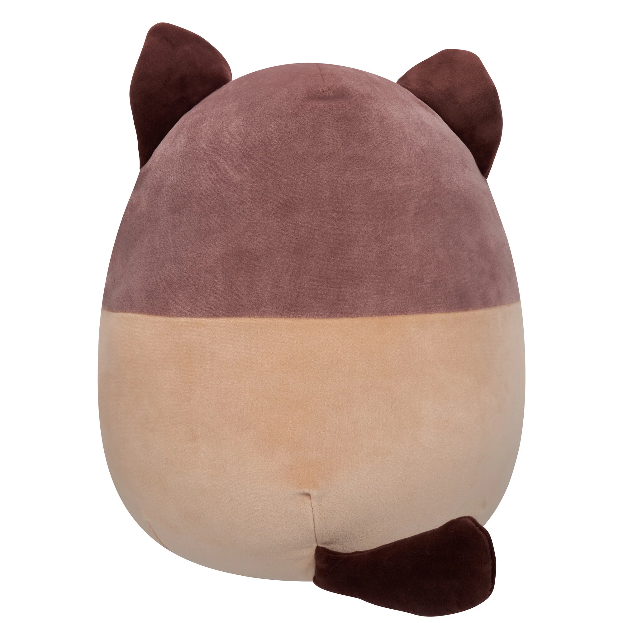 16-Inch Woodward the Brown and Tan Snowshoe Cat - Image 4